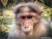 IMG20250215145651 (Copy)